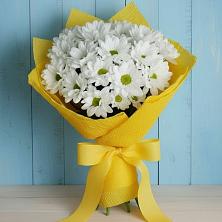 Букет цветов из:  Хризантемы в Октябрьский Хабаровский край