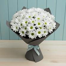 Букет цветов из:  Хризантемы в Октябрьский Хабаровский край