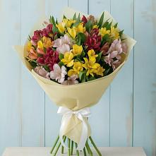 Букет цветов из:  Альстромерии #REPLACE_PRED# Октябрьский Хабаровский край