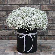 Цветочная композиция из Гипсофила в шляпной коробке #REPLACE_PRED# Октябрьский Хабаровский край