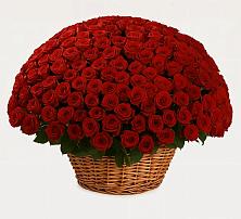 Премиум букет из: Розы в Октябрьский Хабаровский край